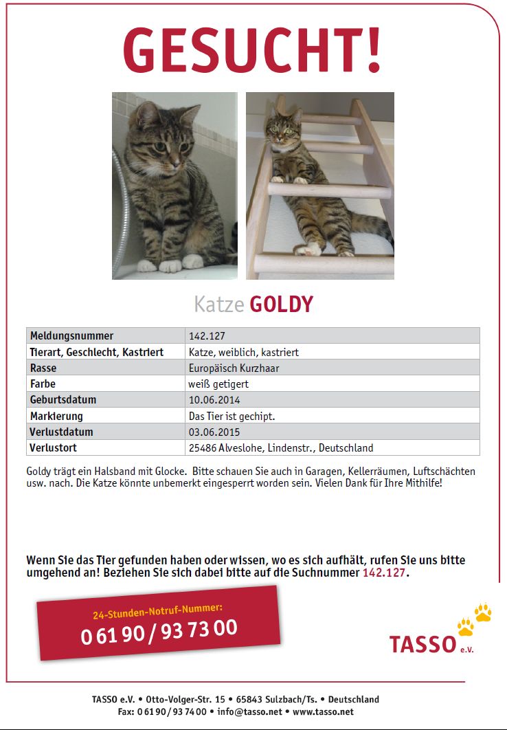 Goldy