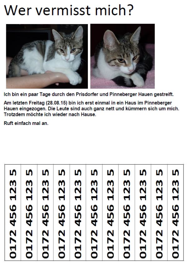 Katze in Prisdorf