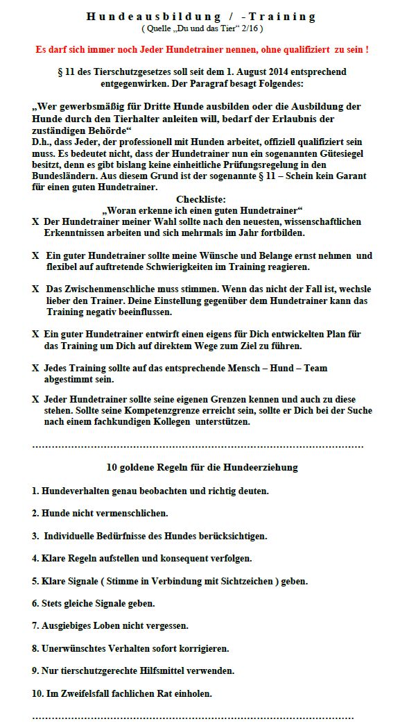 Hundeausbildung / Training