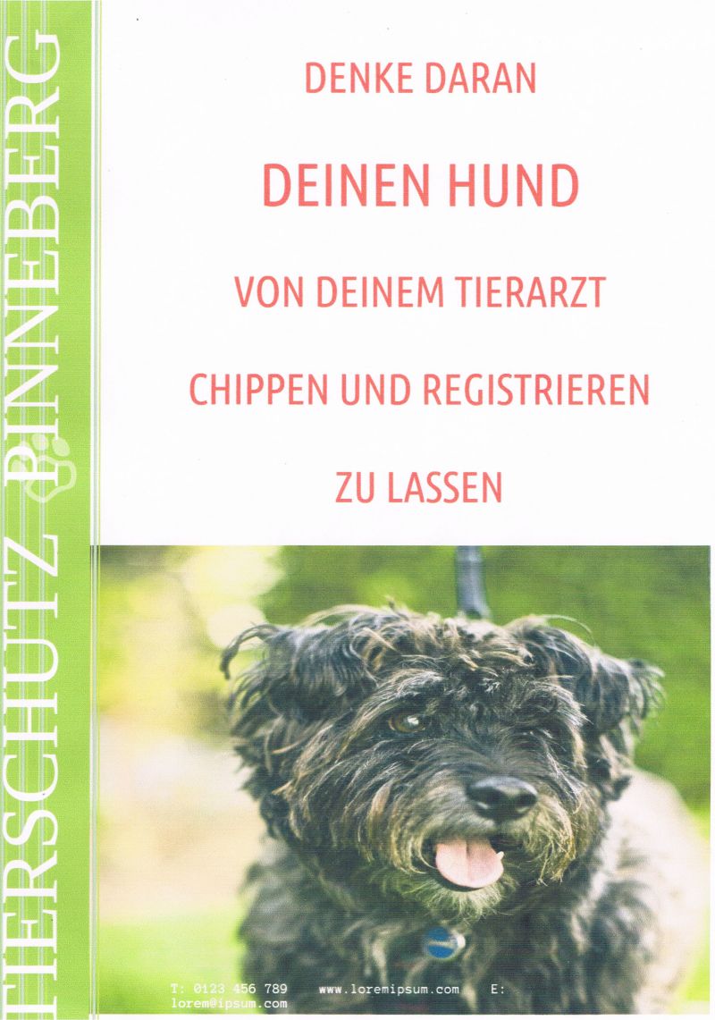 Denke daran, deinen Hund chippen zu lassen