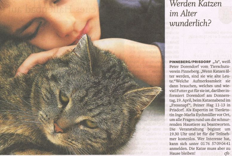 2012-04-19 Pressebericht Katzen im Alter