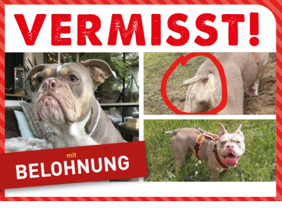 220113-pic-vermisst-logo