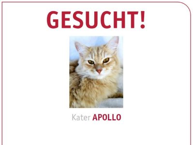 220701-pic-kater-apollo-logo