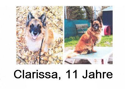 230503-pic-vermittlung-clarissa-ausschnitt