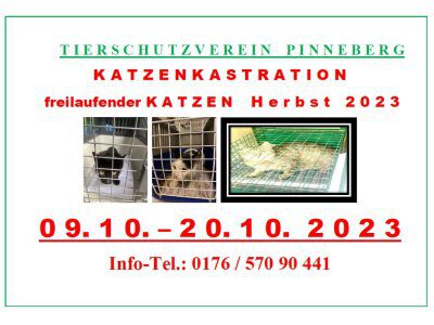 231005-ausschnitt-pic-katzenkastrationsaktion