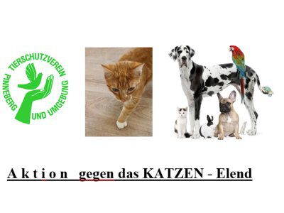 231005-pic-katzenkastrationsaktion-ausschnitt