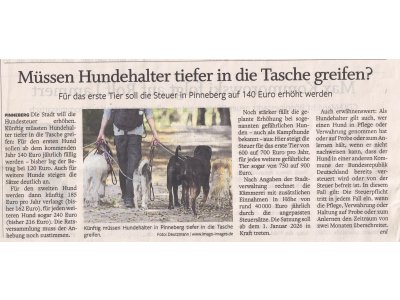 250926-pita-hundesteuer-vorschau