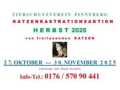 251027-pic-katzenkastration-herbst-Vorschau