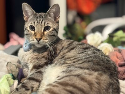 251029-charlie-03-vorschau