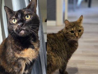 251205-pic-cassy-penny-vorschau