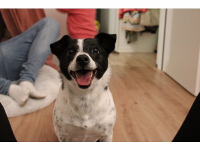 260318-leo-03-vorschau