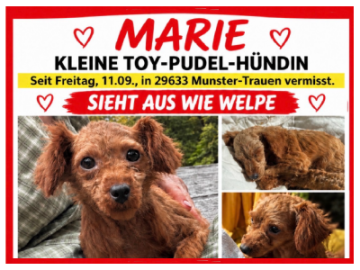 260927-marie-vorschau