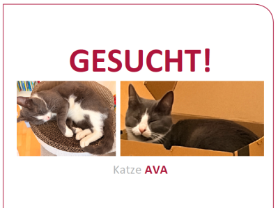 261025-katze-ava-suchplakat-VORSCHAU