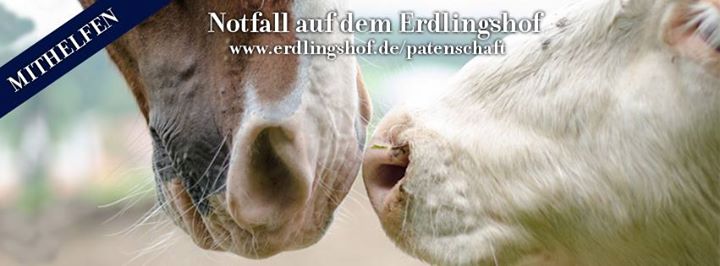Notfall auf dem Erdlingshof Notfall auf dem Erdlingshof