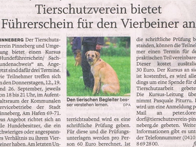 vs-hundefuehrerschein-2