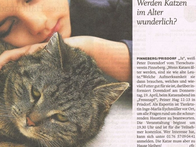 vs-presse-katzenabend